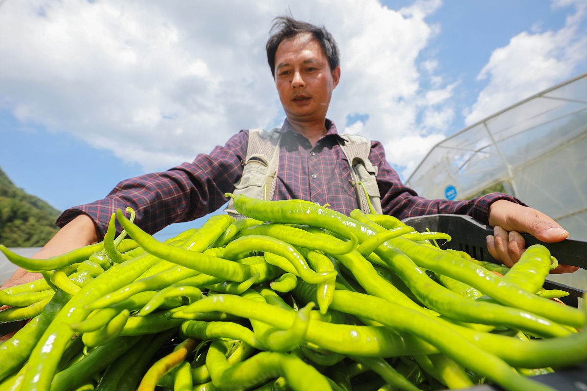 毕节卫校护理专业招生 | 2021年招生专业详解
