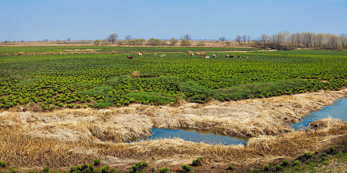 佳木斯职业学院美术教育专业怎么样