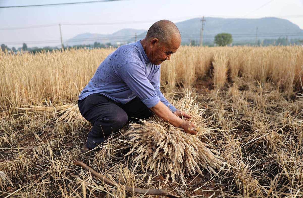 能扛二百斤麦子走十里山路不换肩