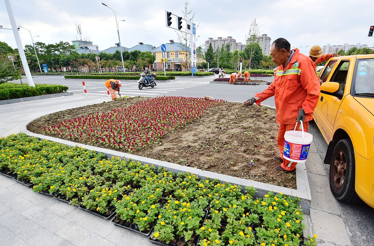 园区绿化养护全年工作计划方案 -  打造四季常青园区