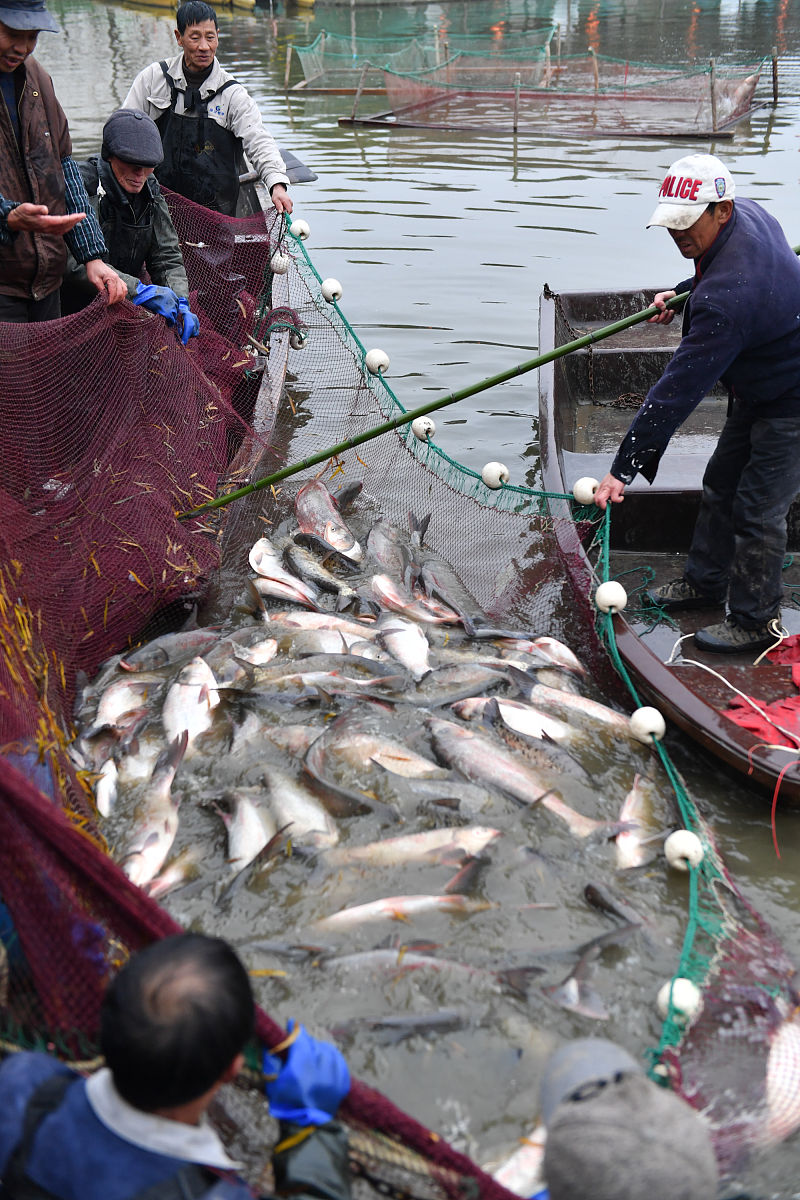 离岸垂钓违法行为及处罚：你需要知道的法律法规