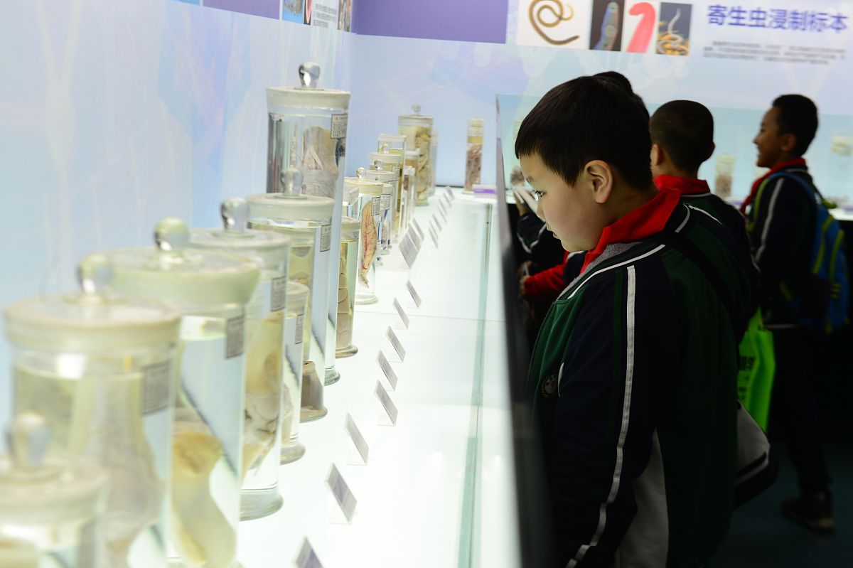 甘肃可以读农村经济管理专业的职校有哪些