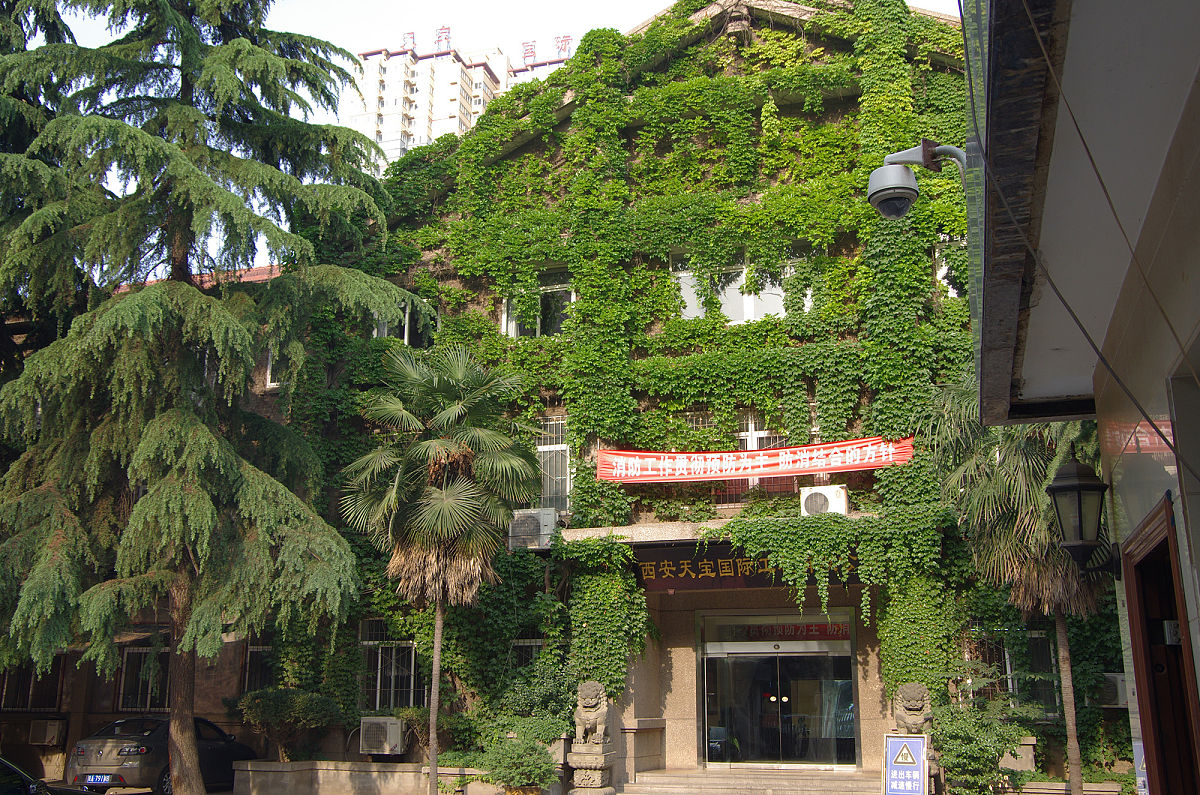 初中男生在成都卫生学校毕业后是什么学历？