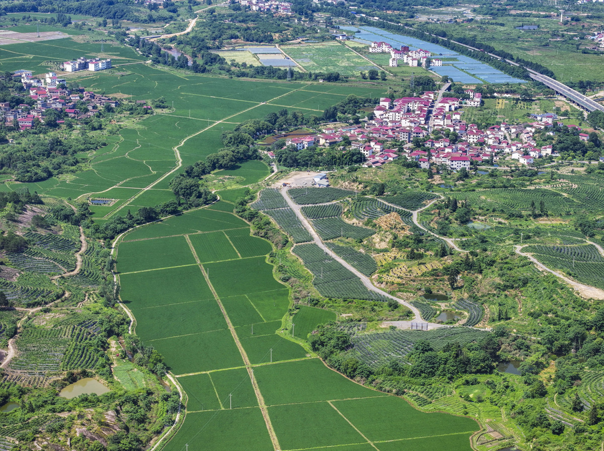 随县万和镇 - 农业发展、交通便利、乡村旅游 - 随县官方网站