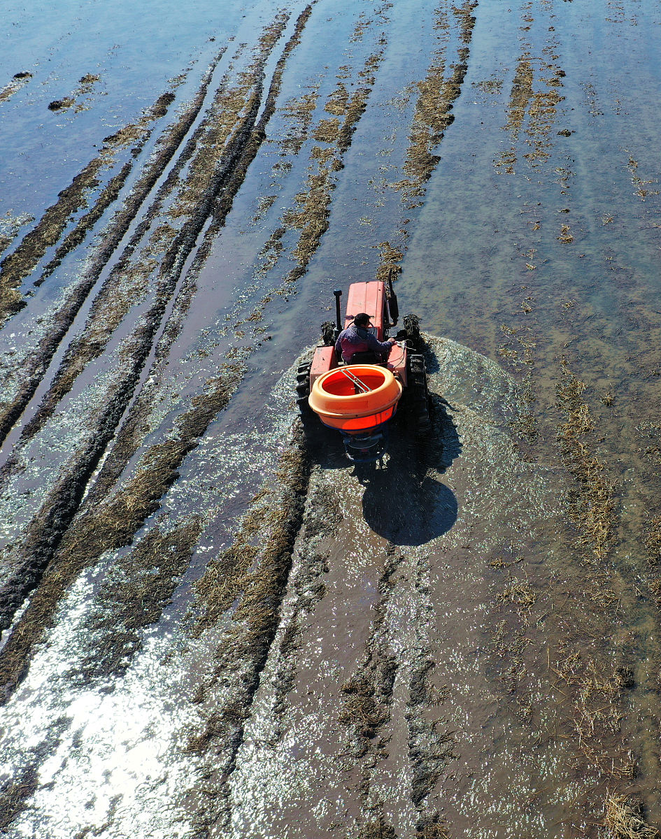 黑龙江农业工程职业学院汽车营销与服务专业好就业吗