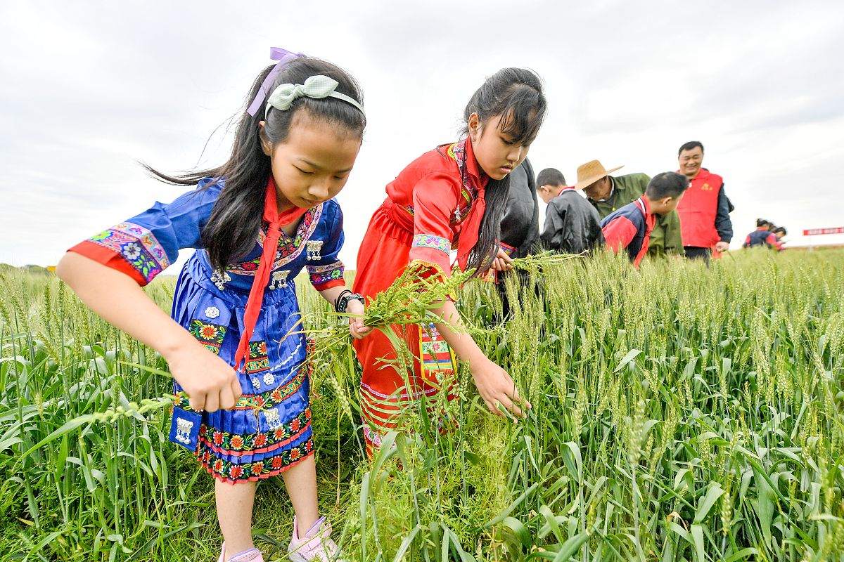 学习的时候有提高应用的时候怎样
