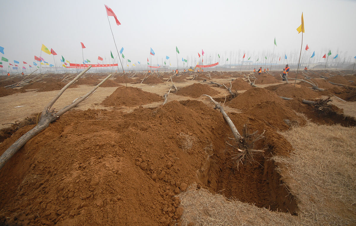 学前教育实习报告之实习岗位和内容