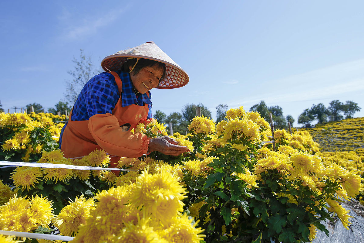 皖南医药卫生学校地址-招生简章-专业介绍