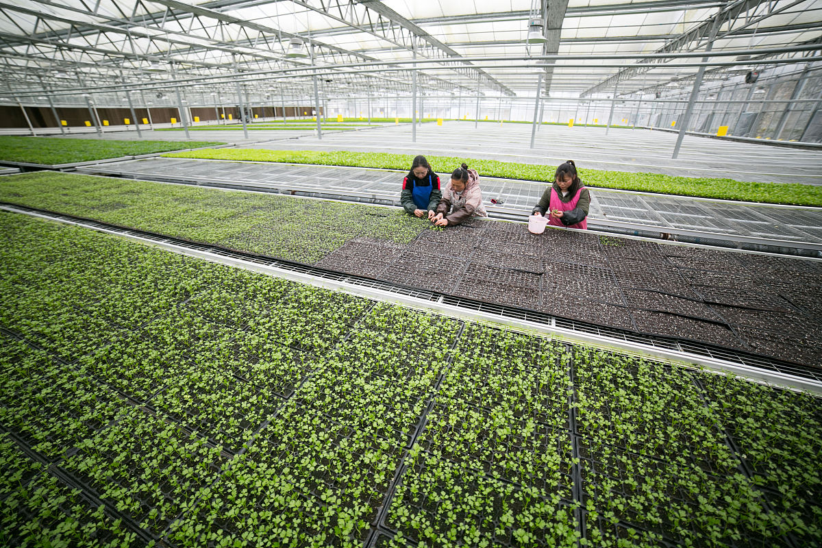 贵州女生汽修学校推荐：选择优质学校开启汽车维修职业生涯