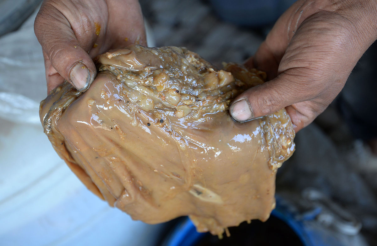 肠镜检查前服用酵素的影响：会影响检查结果吗？