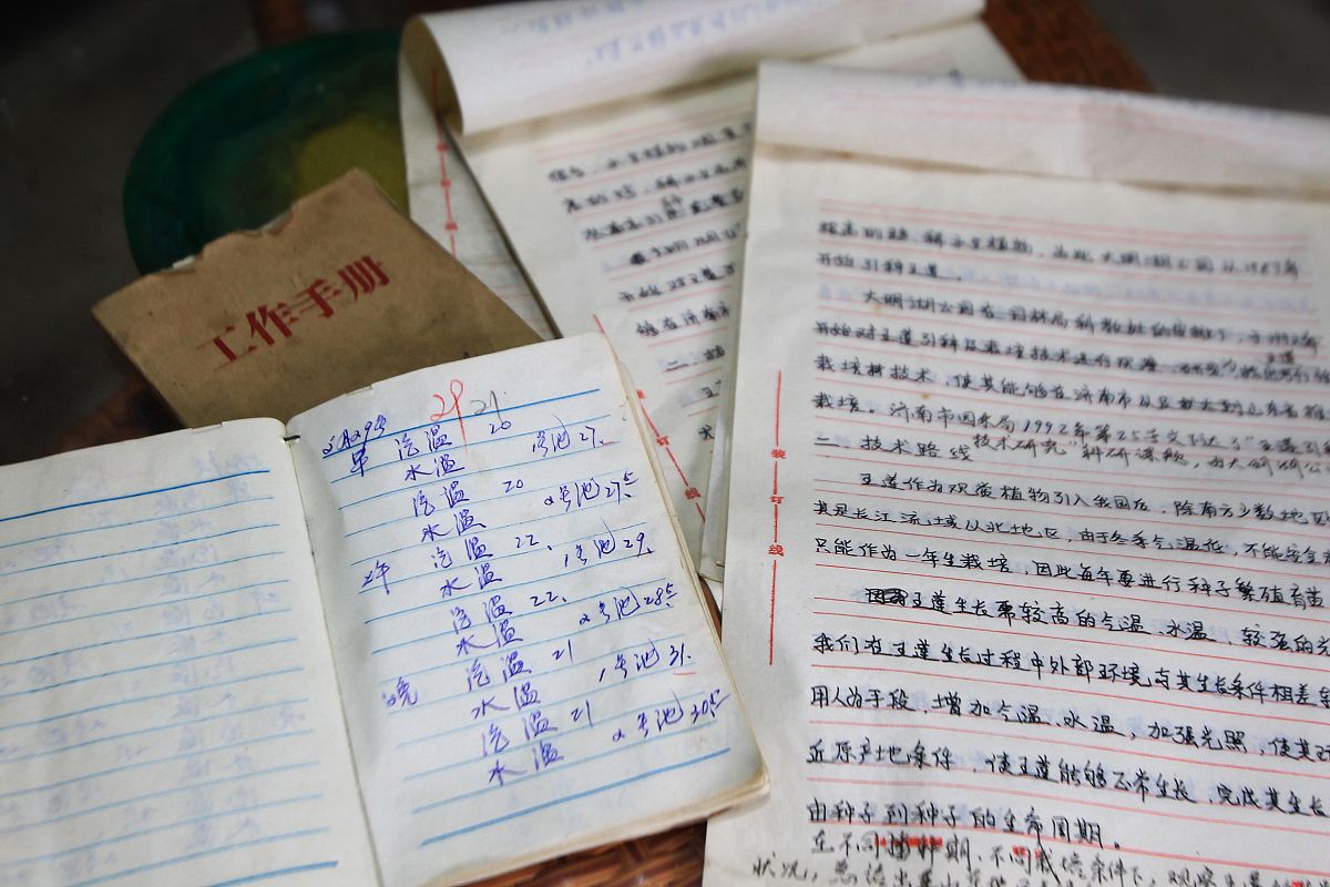 乌兰夫回忆录读后感：一位伟大领袖的智慧、奉献与乐观精神
