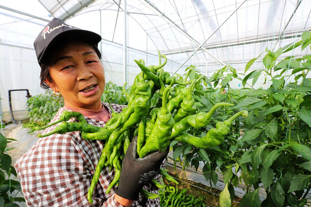 失忆女子制服司机，失踪文物看护员现身！