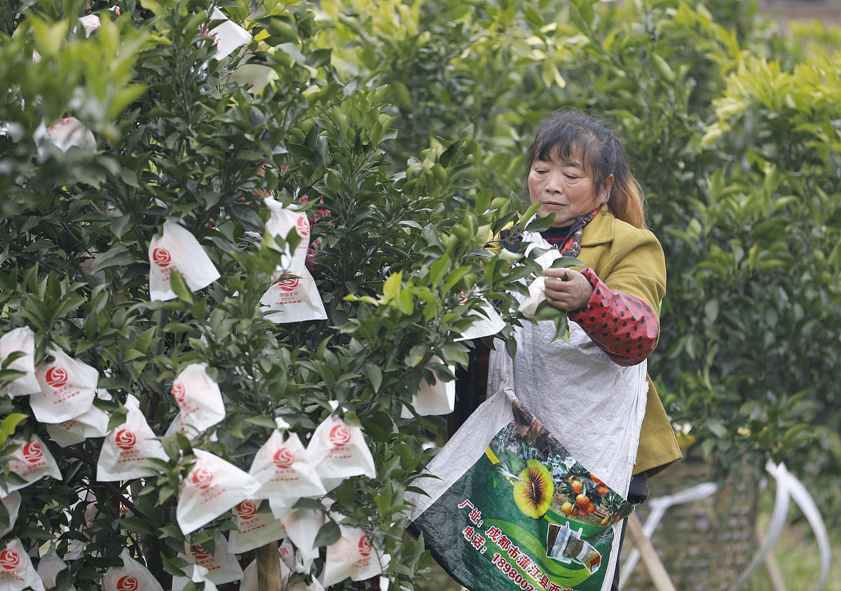 南充卫校排名_2022年南充最好的卫校有哪些