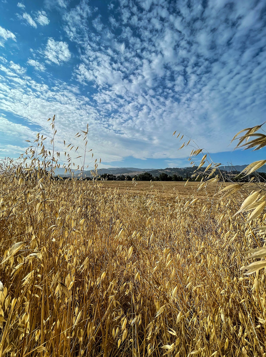 四川凉山州农业学校办学特色？