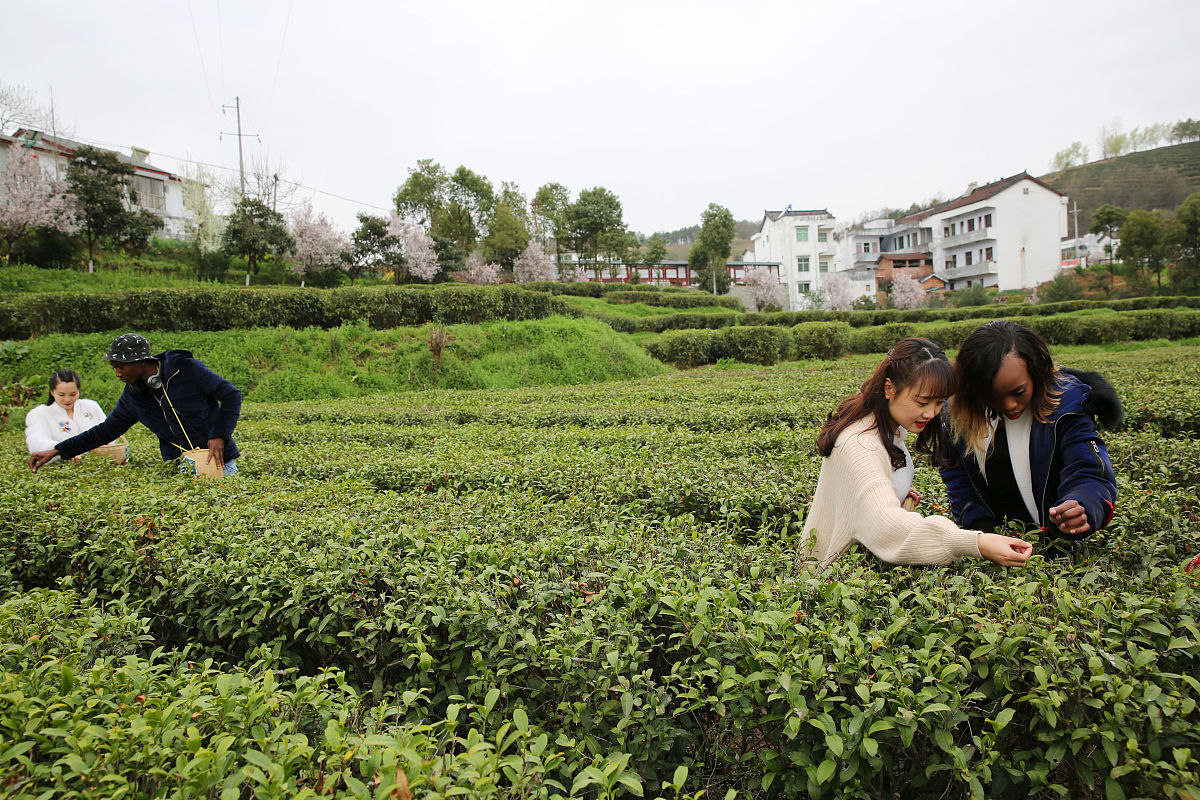南京嘉书汉语面试地址回答+拓展