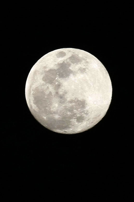 2020三年级科学下册知识点