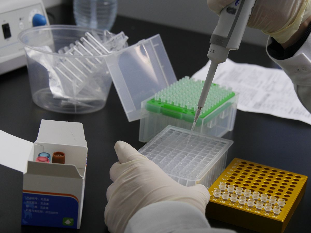 医学实验模型：离体、体外和体内区别解析