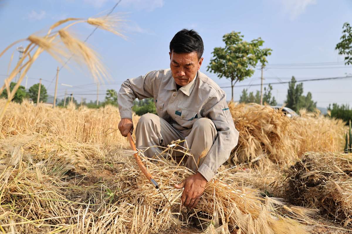 穿破衣辛勤劳作的老农 文案