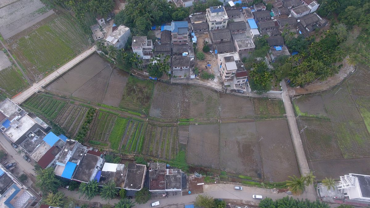 忻城县思练镇蓝家坝屯村镇道路改造项目绩效管理方案：关键指标、机制和影响因素