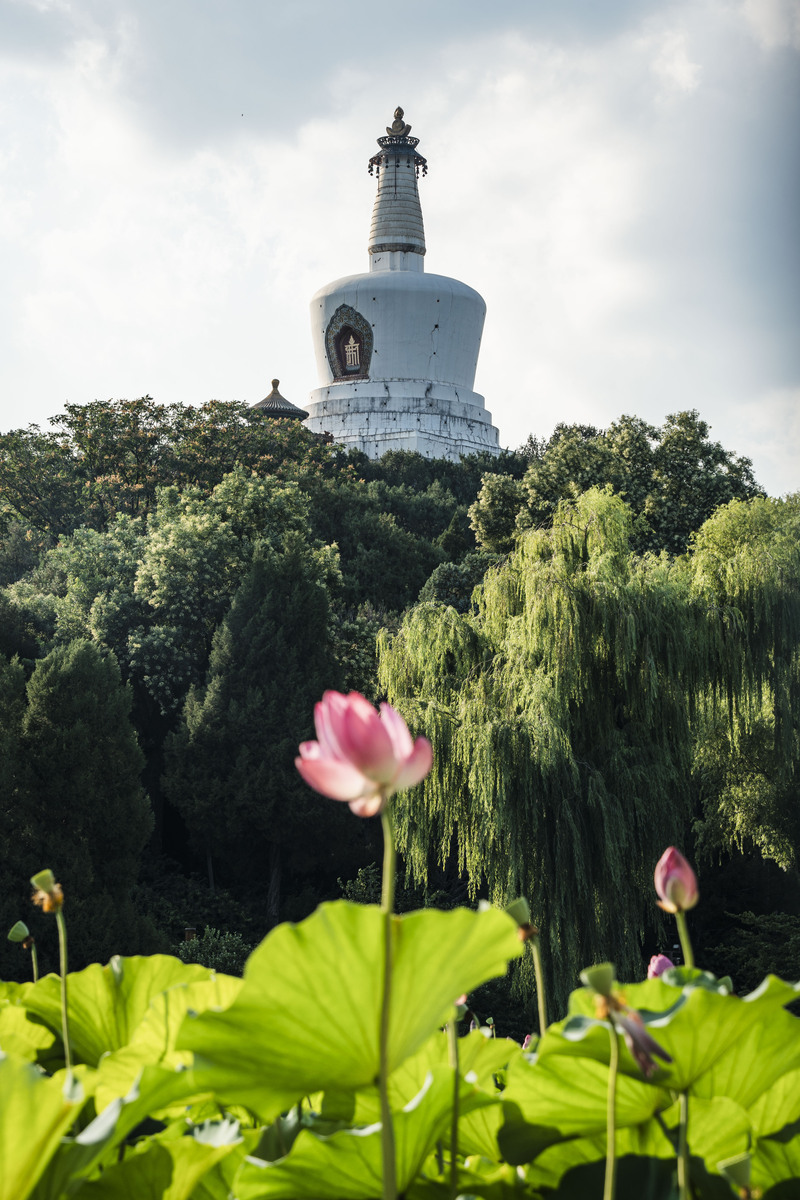10座城市，让你玩到嗨！资深旅行家带你解锁国内旅游宝藏