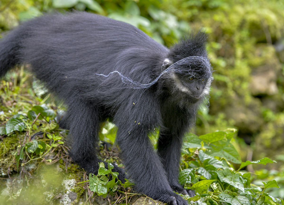 关于贵州 建筑资质办理费用内容生动