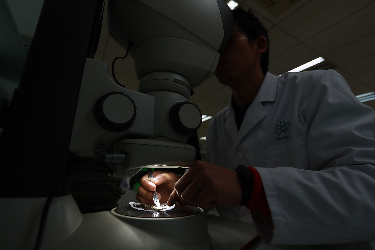 野生植物资源开发与利用专科课程有哪些？