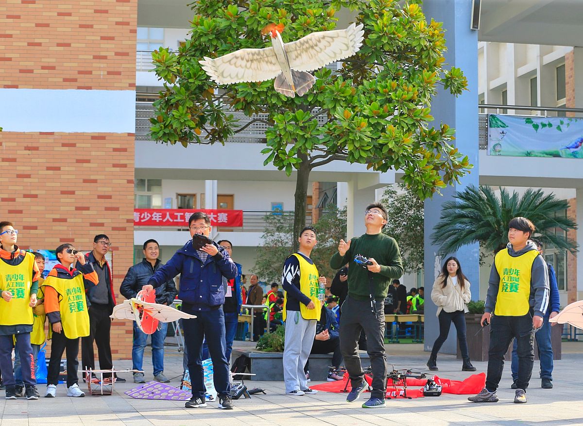 2019年11月23日,南京,第31届江苏省中小学金钥匙科技竞赛现场.航模表