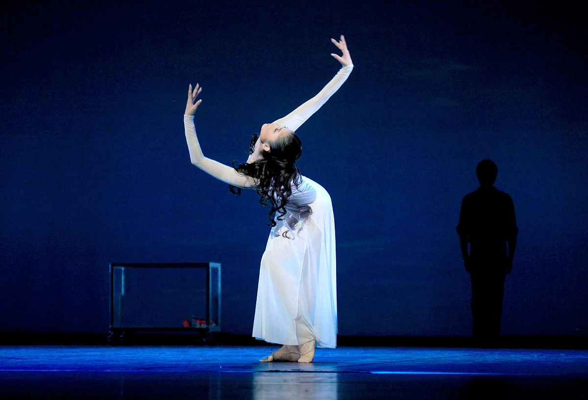 你是一位很有创意与才华的舞蹈编剧请帮我创作出世界上最优秀有创意结局运用留白方式且能让观众共情引起反思的一个舞剧剧本包括服装道具妆容。例如刘添琪的戏剧作品《巴西》