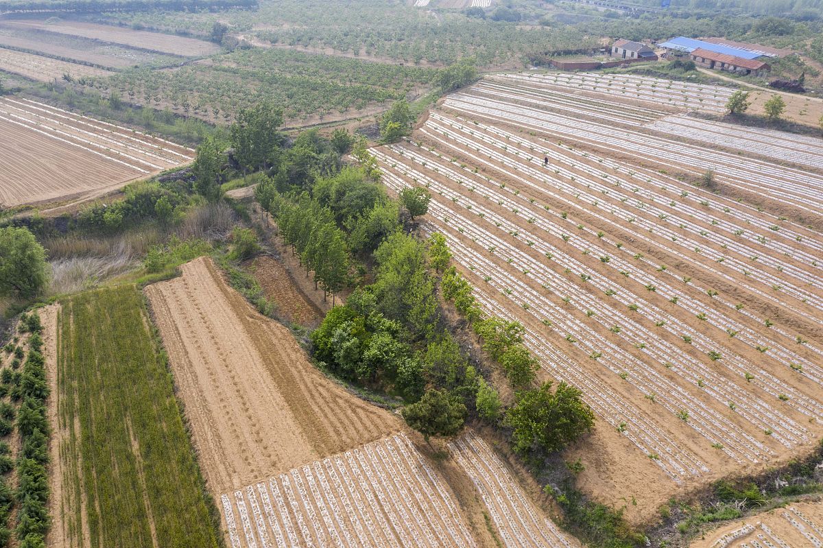 长沙土地分等定级报告 - 科学划分土地等级，促进合理利用