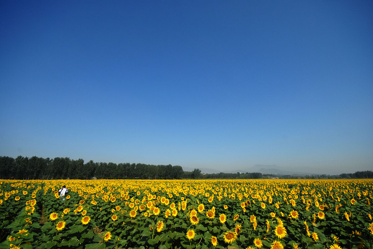 安徽省农业广播电视学校2021年招生专业：农业、电子商务、信息化等