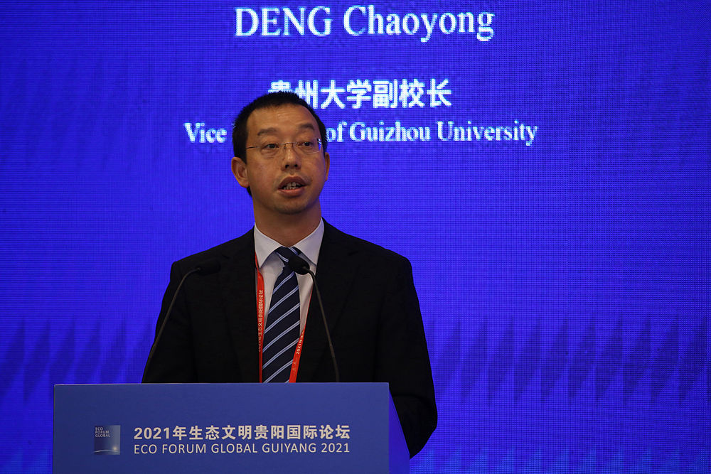 我是香港理工大学生物医学工程硕士，想申请博士，给我推荐十个选择（录取概率大的）