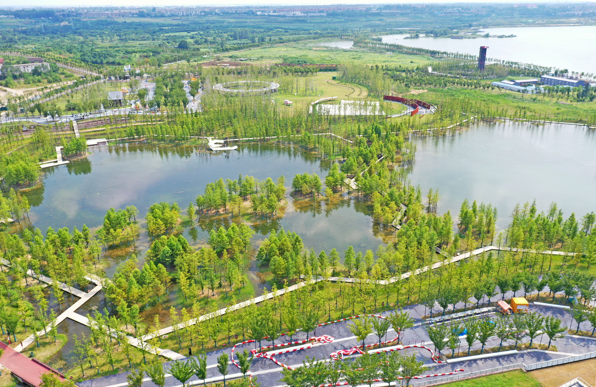辛集退红退绿地 标准
