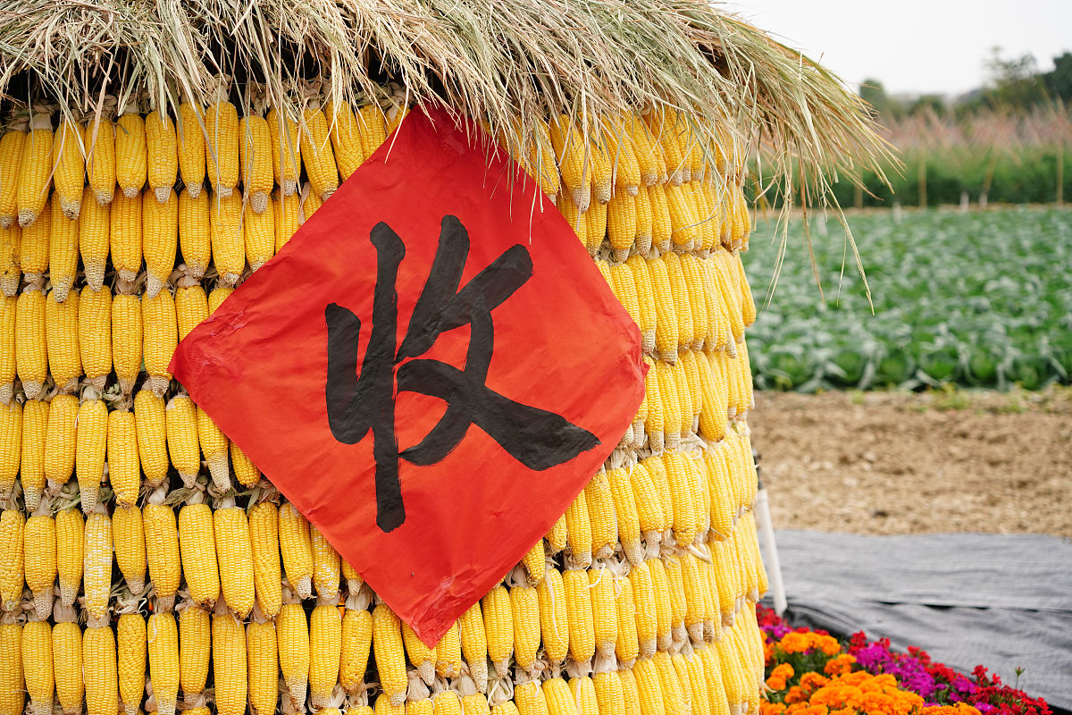 云南曲靖农业学校五年制大专重点招生专业 - 培养农业现代化人才