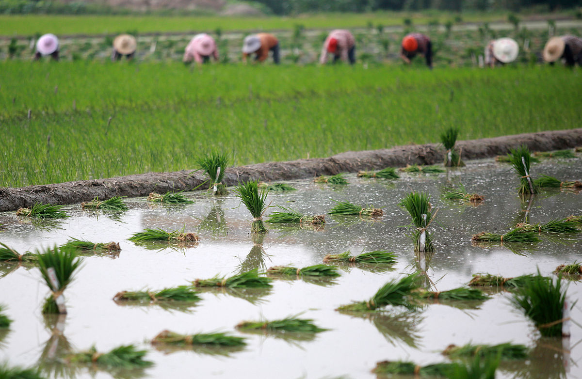 垛田形成的主要原因是