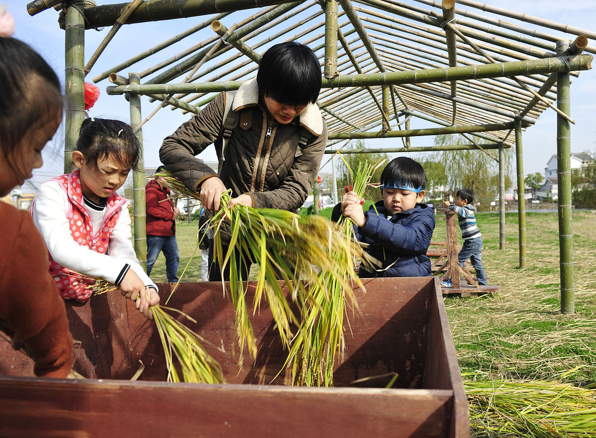 名为高职院校粮食工程专业劳动教育的实践探究的论文字数为