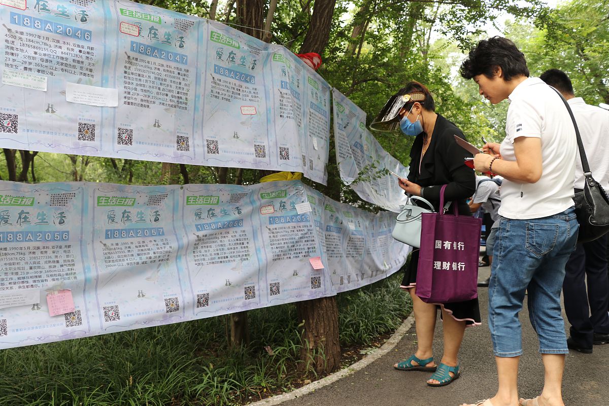 参与校园美化，共建美丽家园：心得体会与感悟