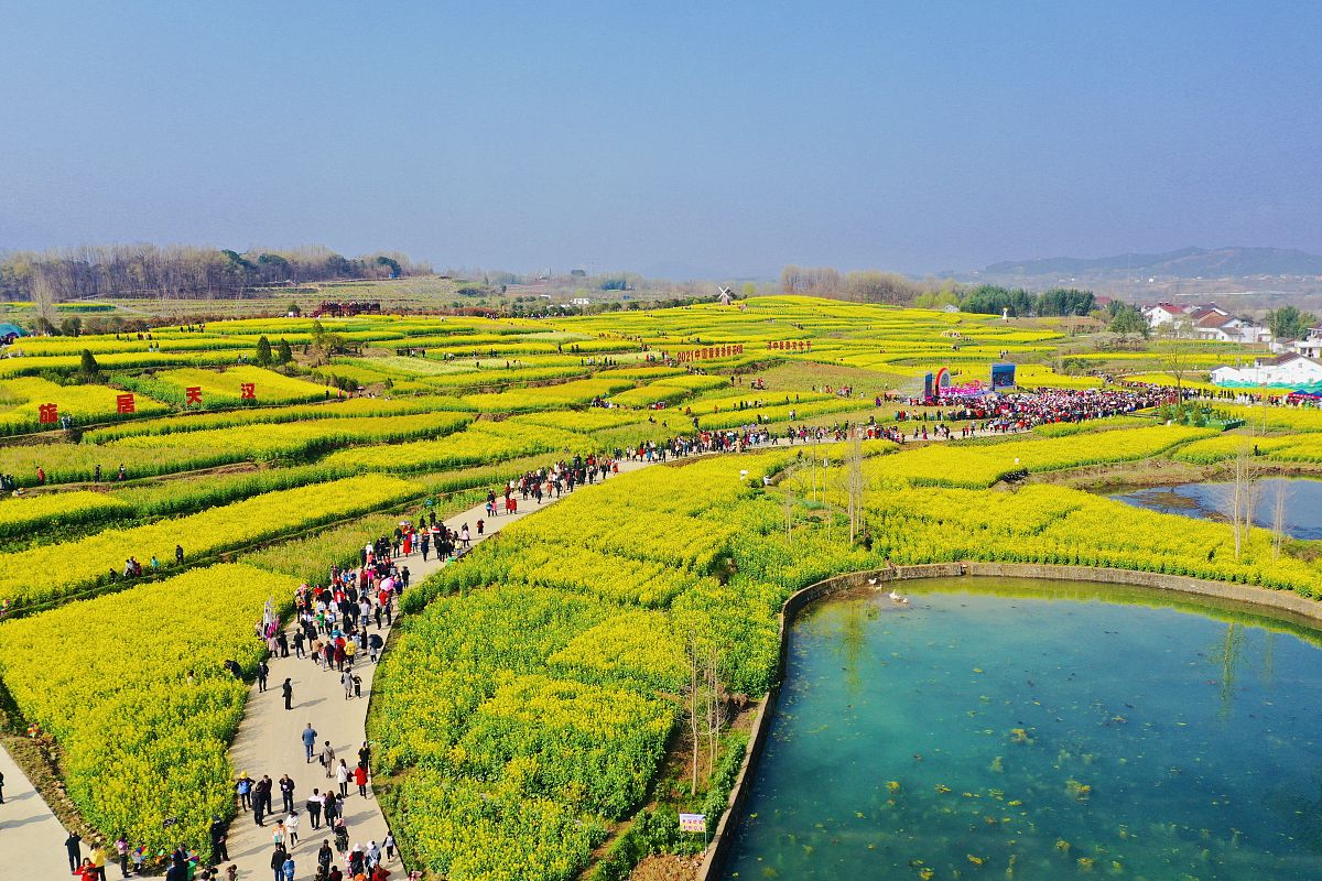 成都郫县五月花2021年联系电话