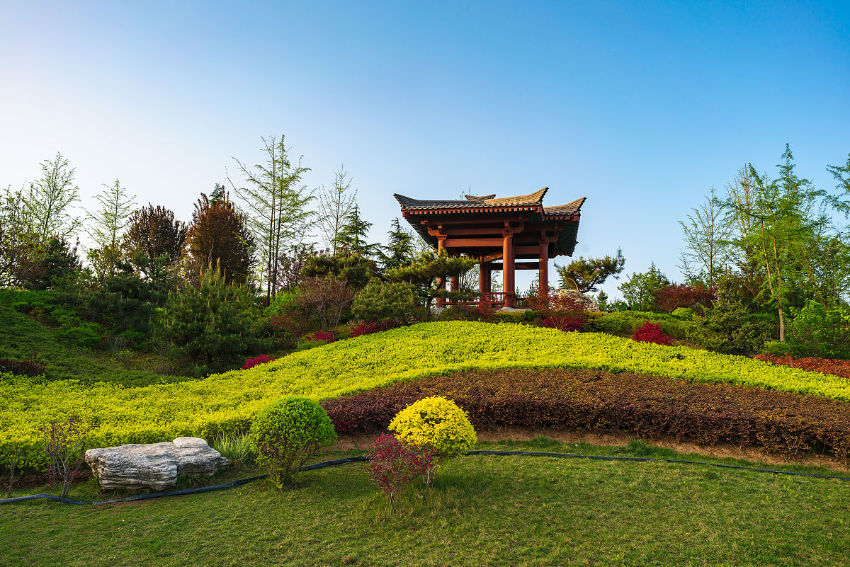 西安兴庆公园乡土植物应用原则：彰显地域文化特色