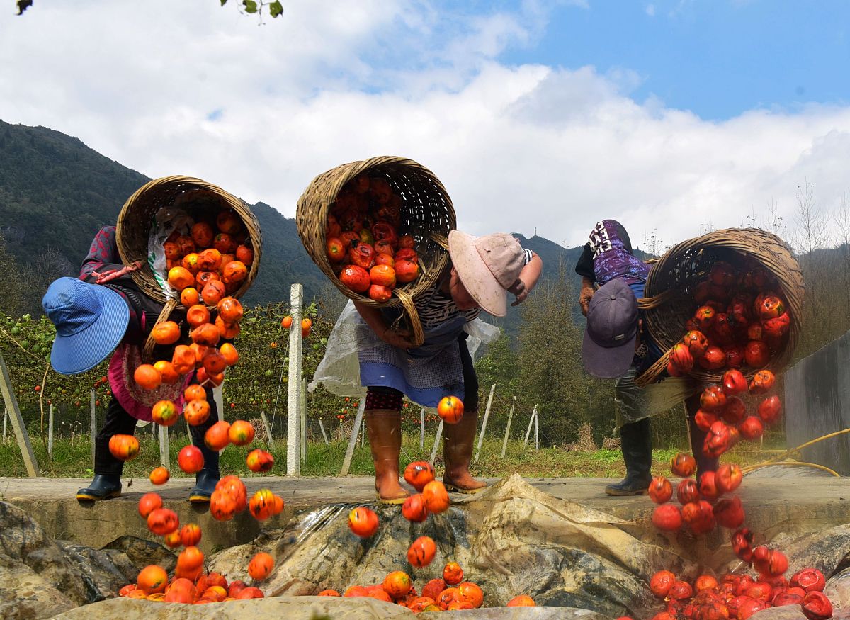 2020年重庆卫生学校招生简章