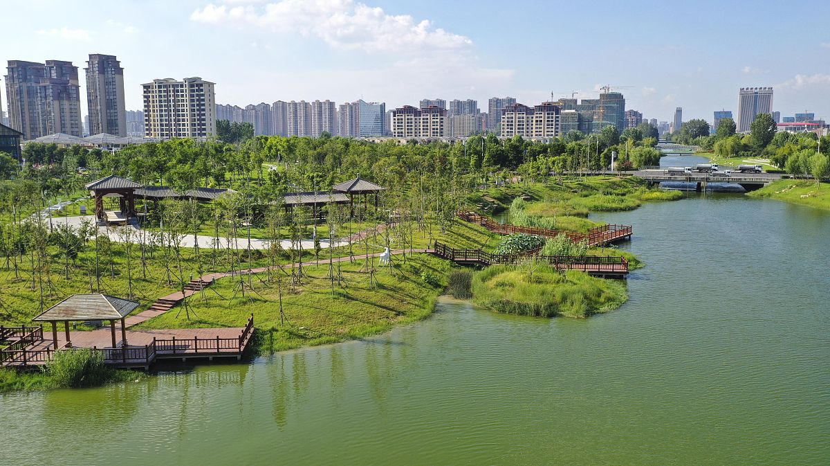 嘉定新城核心景观：远香湖，一个适合休闲娱乐的宝藏之地