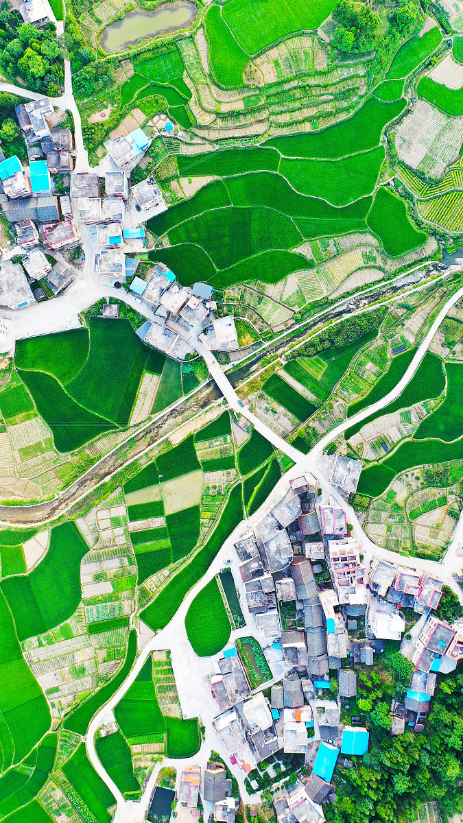 改写：严格执行底线思维优先保护运用gis来规划和整合乡村发展目标和生态保护修复严格遵循统一底图、统一标准、统一规划和统一平台的要求。科学划定三区三线确保不交叉、不重叠、不冲突；落实上位规划协调推进分类管控强调陆海统筹、村镇联动、区域协调；明确各项约束性指标贯彻落实生态保护红线的划定谨慎伐树、严禁开山挖山、不填湖造陆；优化乡村的水系布局、林网以及绿道等生态空间格局；加强稳定耕地和永久基本农田的保护；