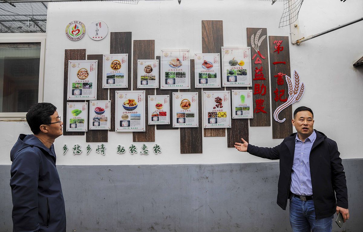 乡村振兴对G山茶油品牌营销的影响及策略应对