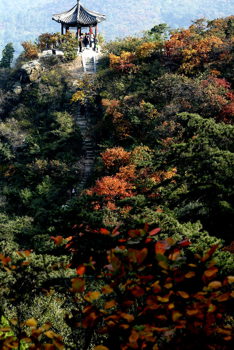 香山红叶拟人化描写：舞蹈、战士、精灵