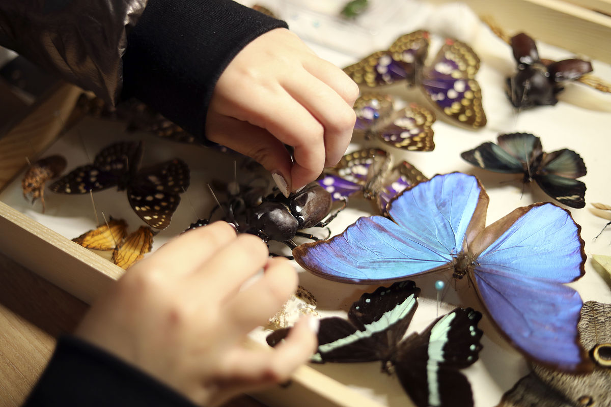 湖州学院广告学专业课程