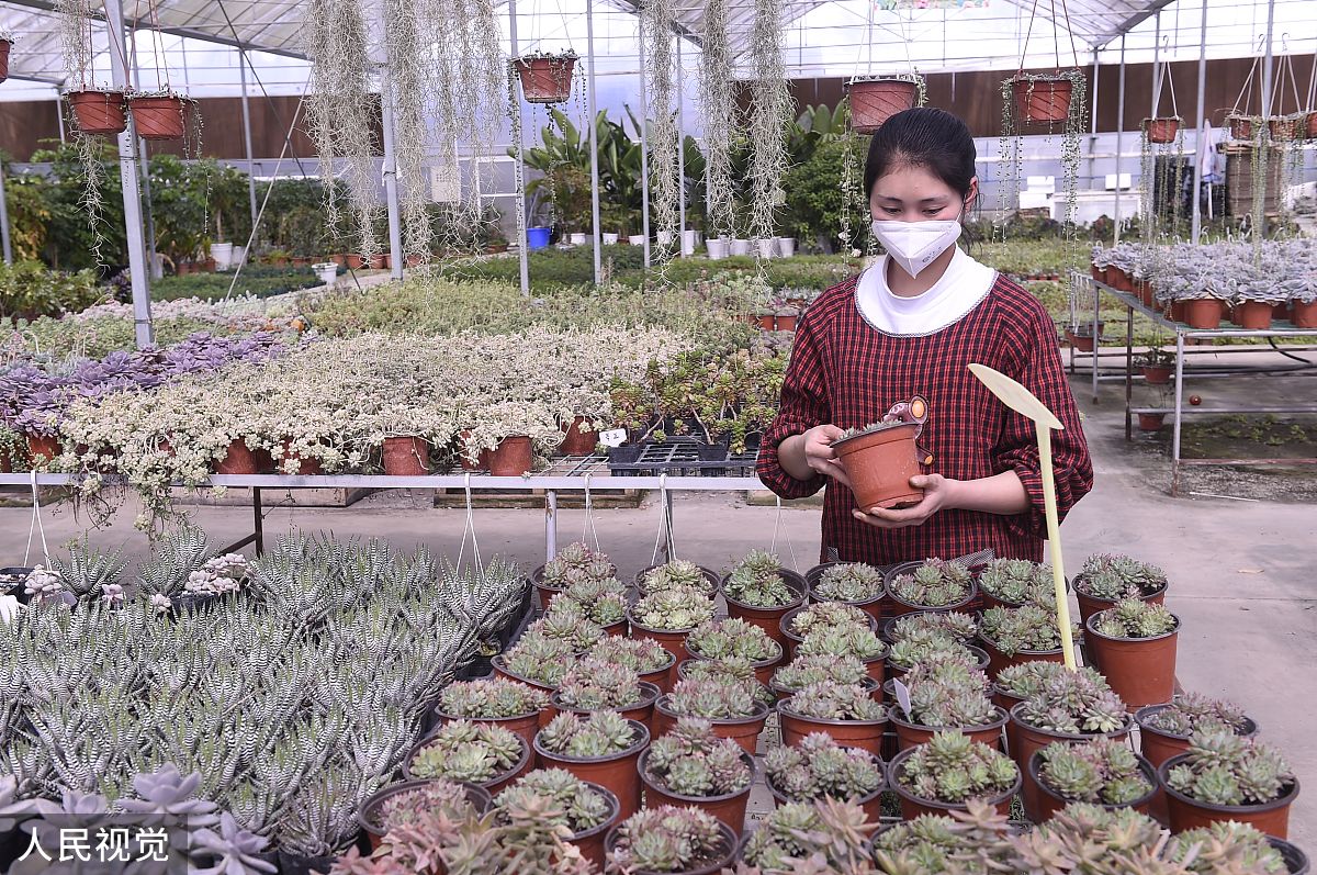 2020年3月10日,四川省成都市,温江区鲜花基地. (如需下载使用,请务必