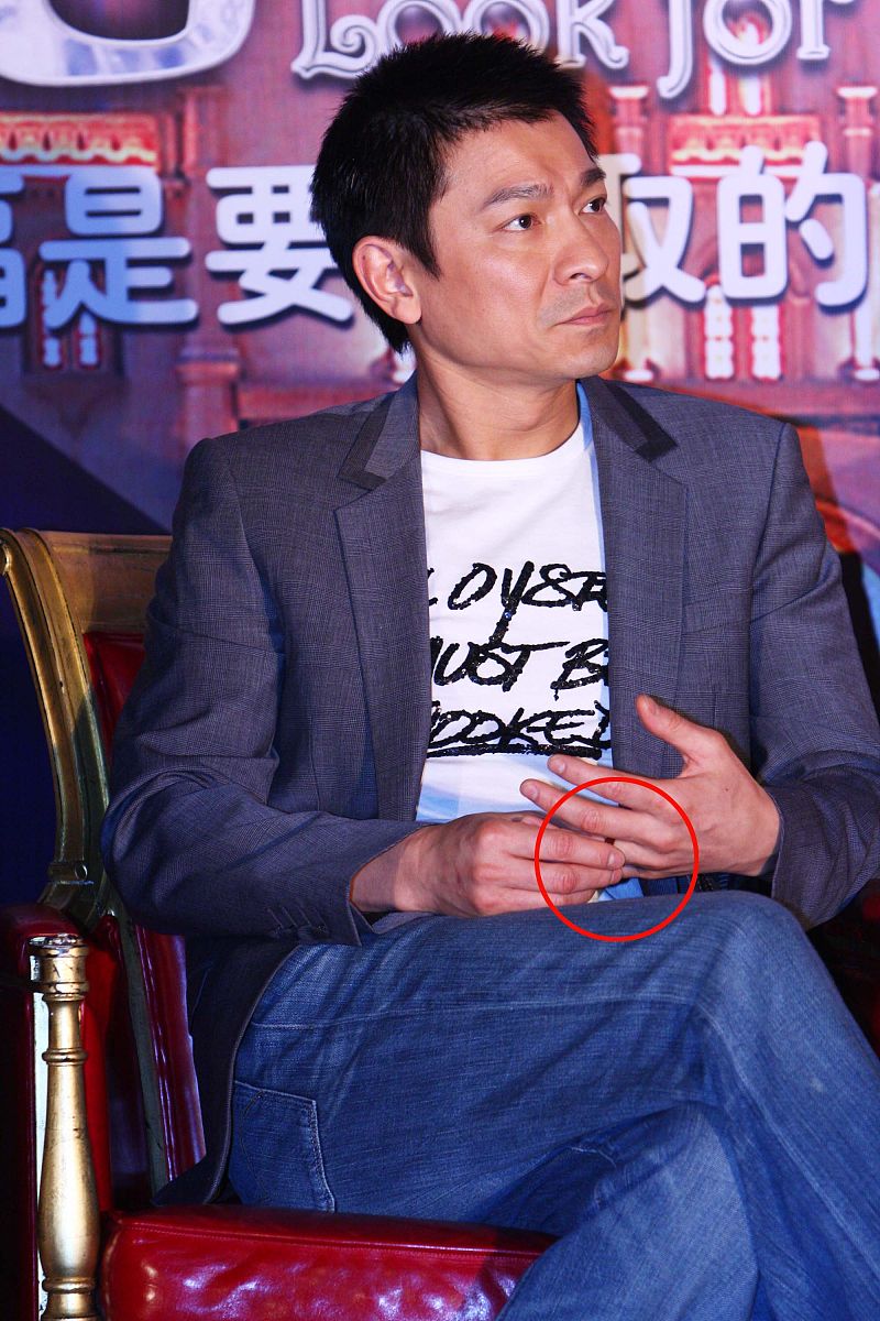 2009年1月13日,北京,爱情大片《游龙戏凤》举行官网启动仪式.刘德华++