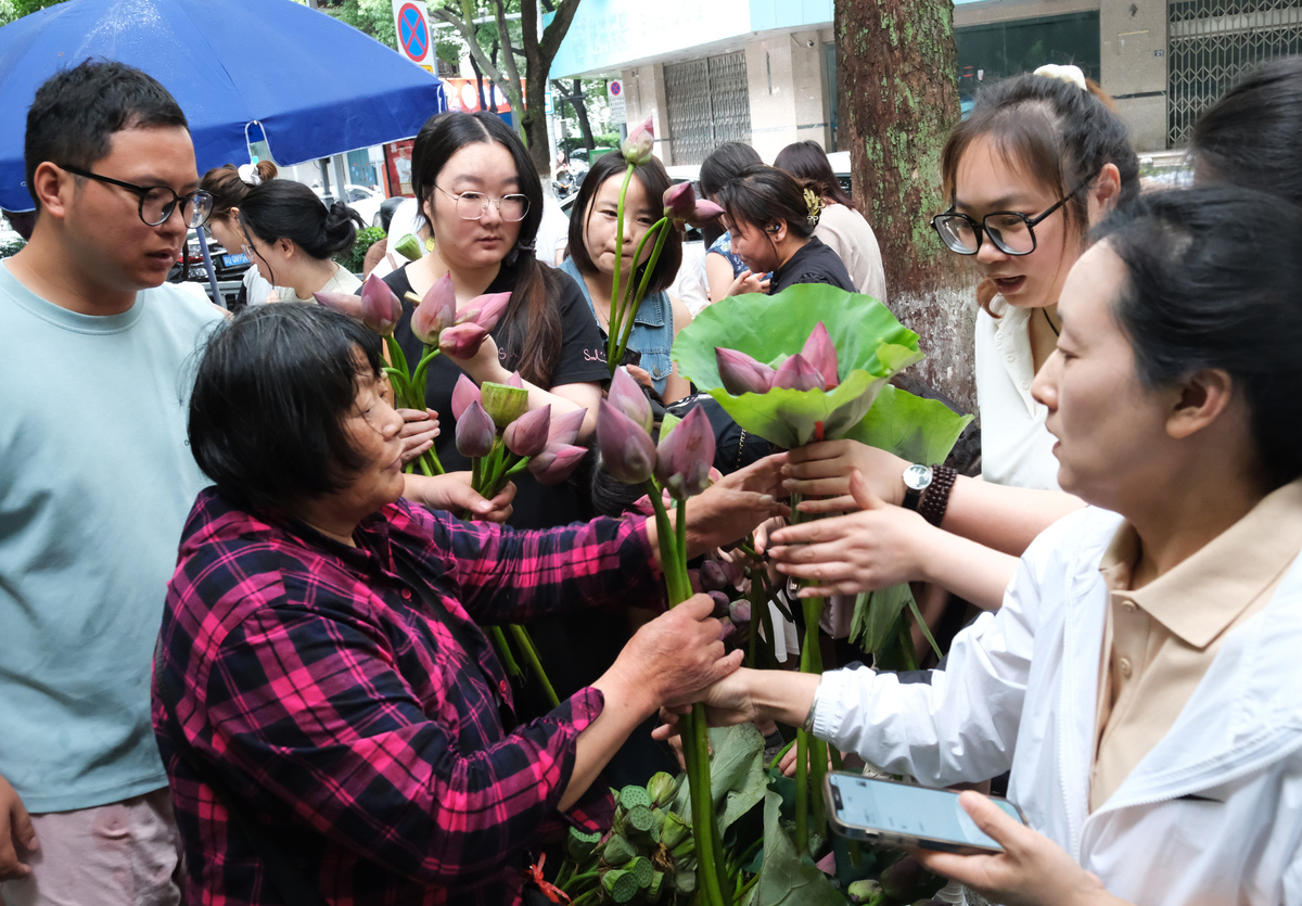 大学生三下乡团队总结：经验、成果与展望