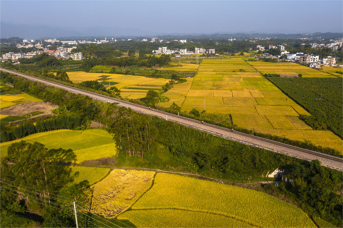 重庆2020年铁路学校大专有哪些