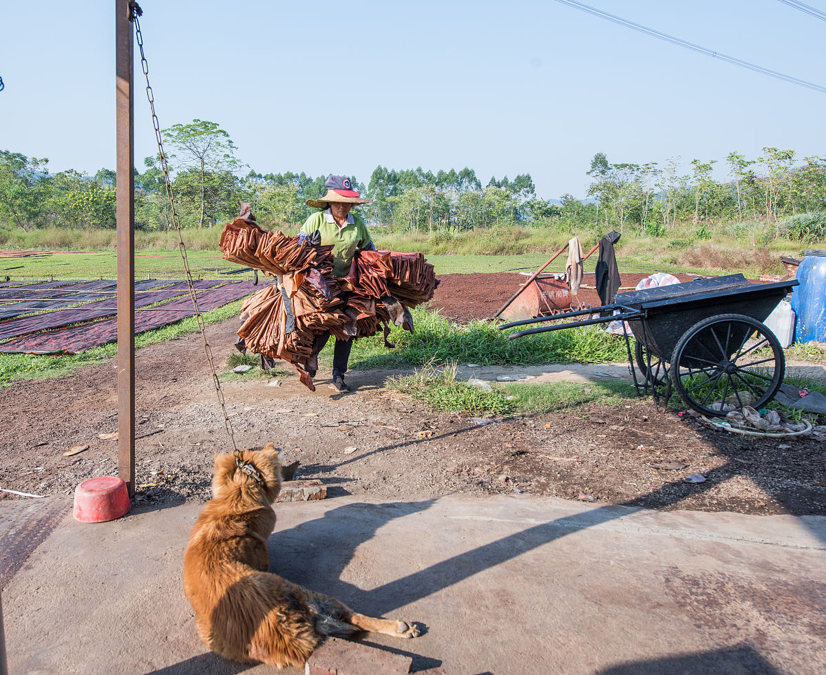 泉州纺织服装职业学院染整技术专业专业就业方向有哪些