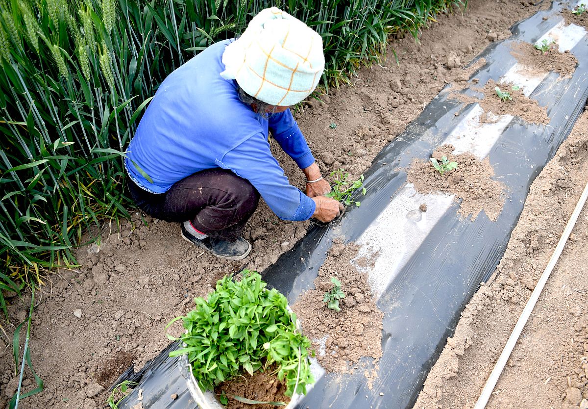 安徽亳州机电信息工程学校2021年招生简章 - 培养未来机电信息人才